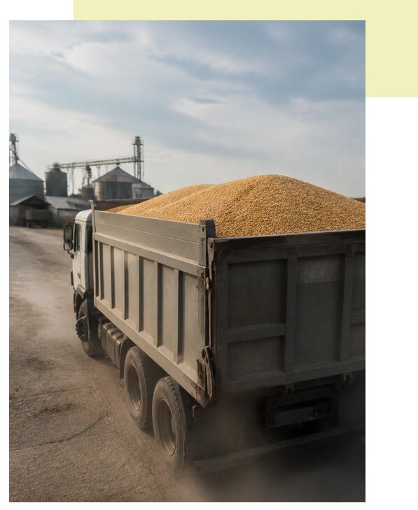 Перевозка сельхозпродукции навалом в Назрань по цене от 3082 р. | Агросервис-Нзр