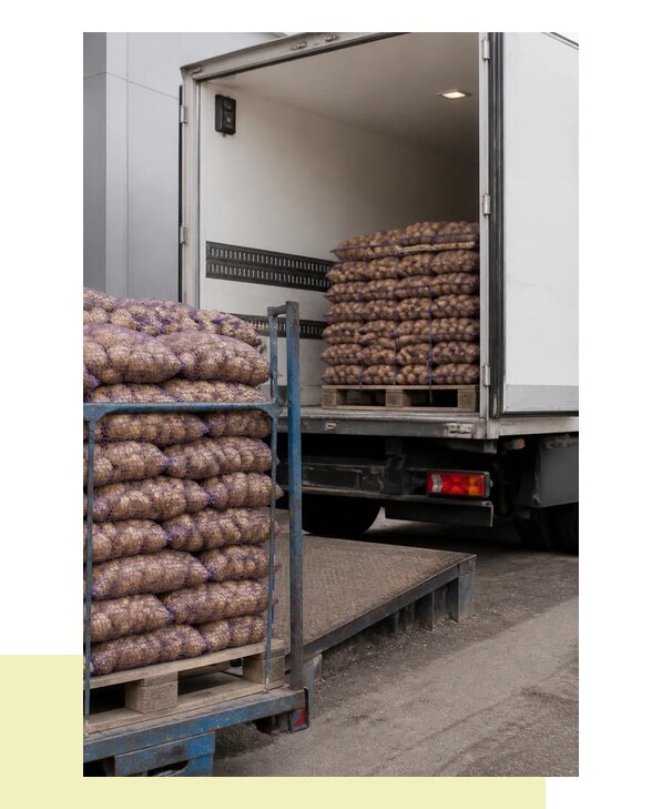 Перевозка раннего картофеля в Назрань с гарантией сроков